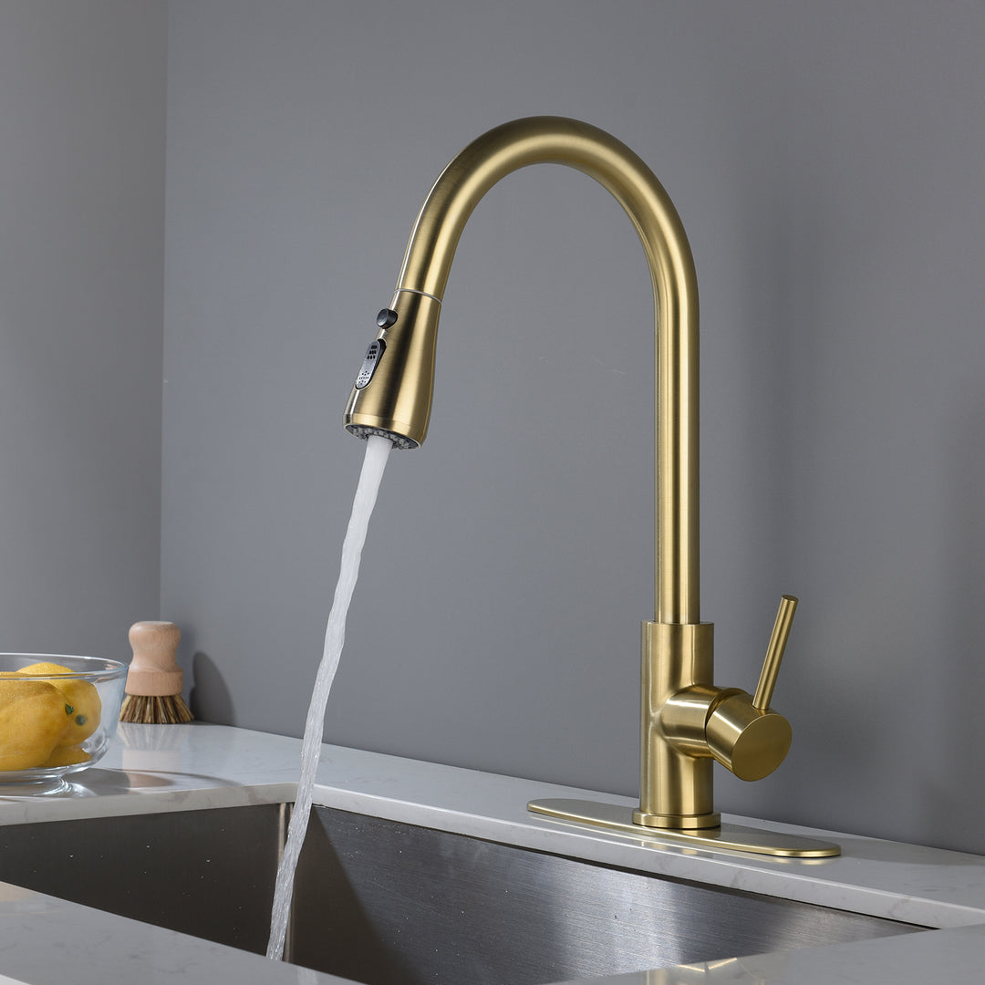 Kitchen Faucet with Pull Out Spraye