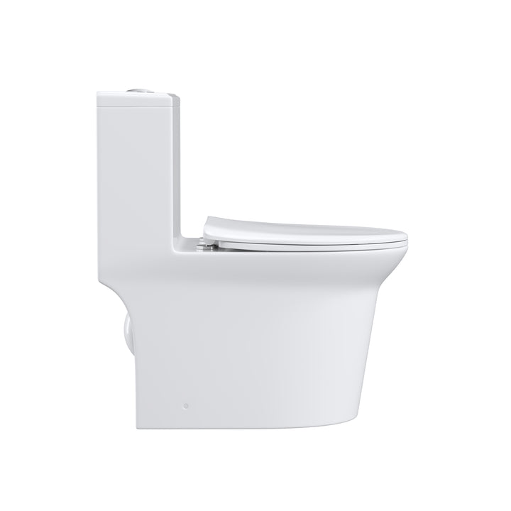 One Piece  Dual Flush Elongated Toilet