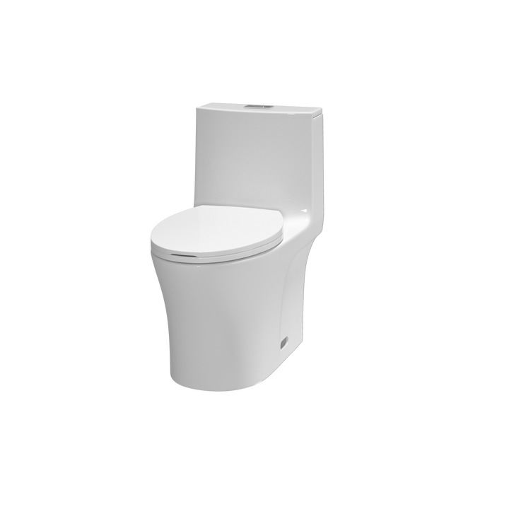 Dual Flush Elongated Standard One Piece Toilet with Comfortable Seat Height, Soft Close Seat Cover, High-Efficiency Supply, and White Finish Toilet Bowl (White Toilet)