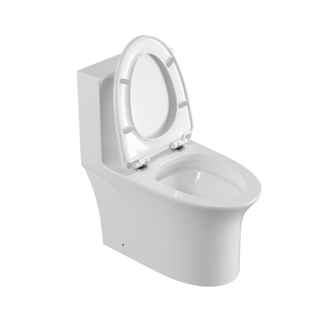 One Piece Dual Flush Elongated Toilet