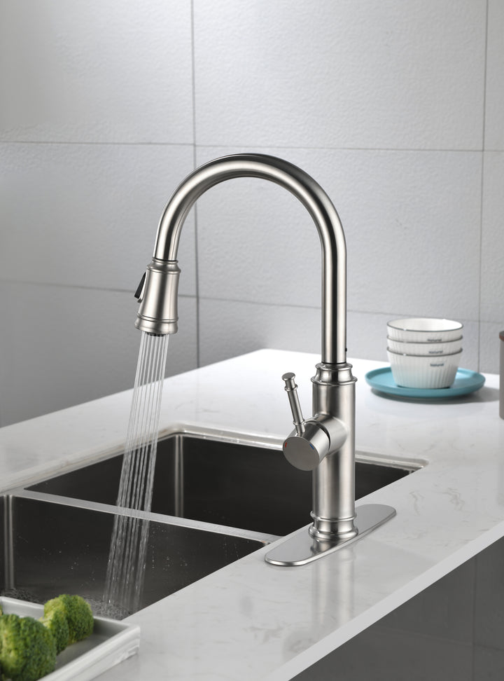 Single Handle High Arc Pull Out Kitchen Faucet,Single Level Stainless Steel Kitchen Sink Faucets with Pull Down Sprayer