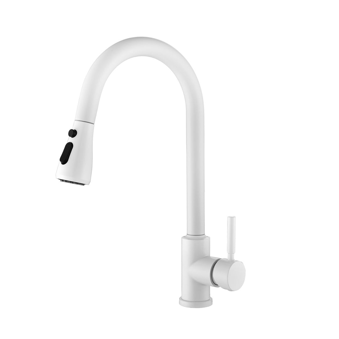 Kitchen Faucet with Pull Out Spraye