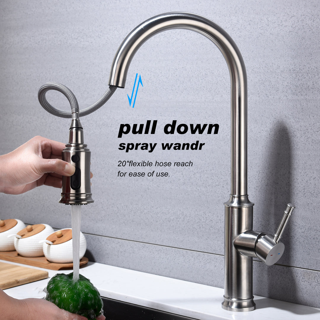 Kitchen Faucet with Pull Out Spraye