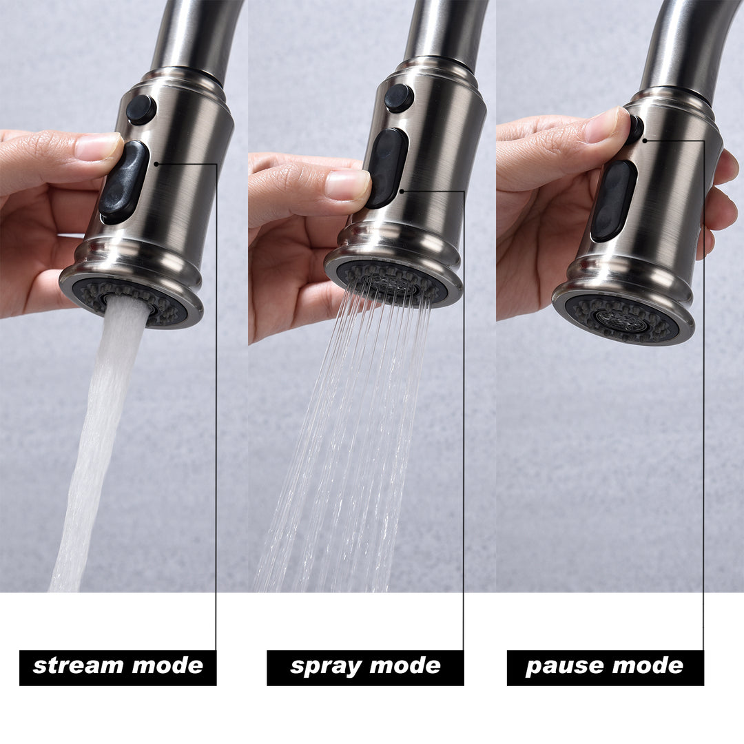 Kitchen Faucet with Pull Out Spraye