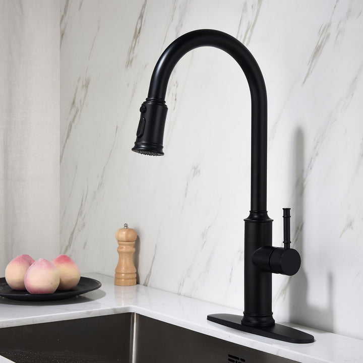 Kitchen Faucet with Pull Out Spraye