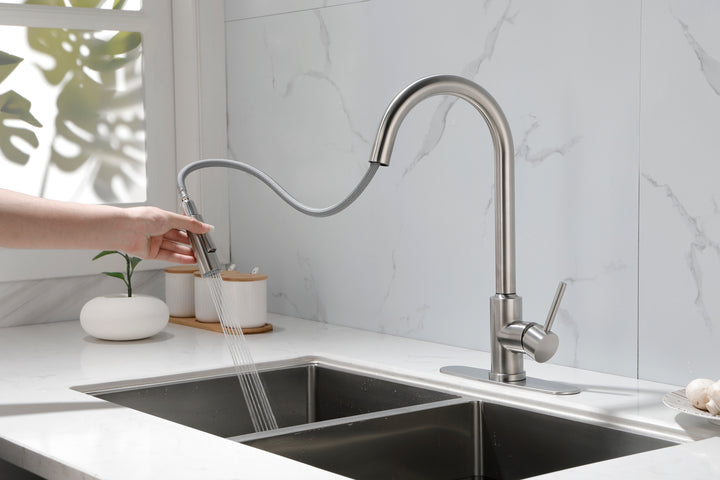 Kitchen Faucet with Pull Down Sprayer