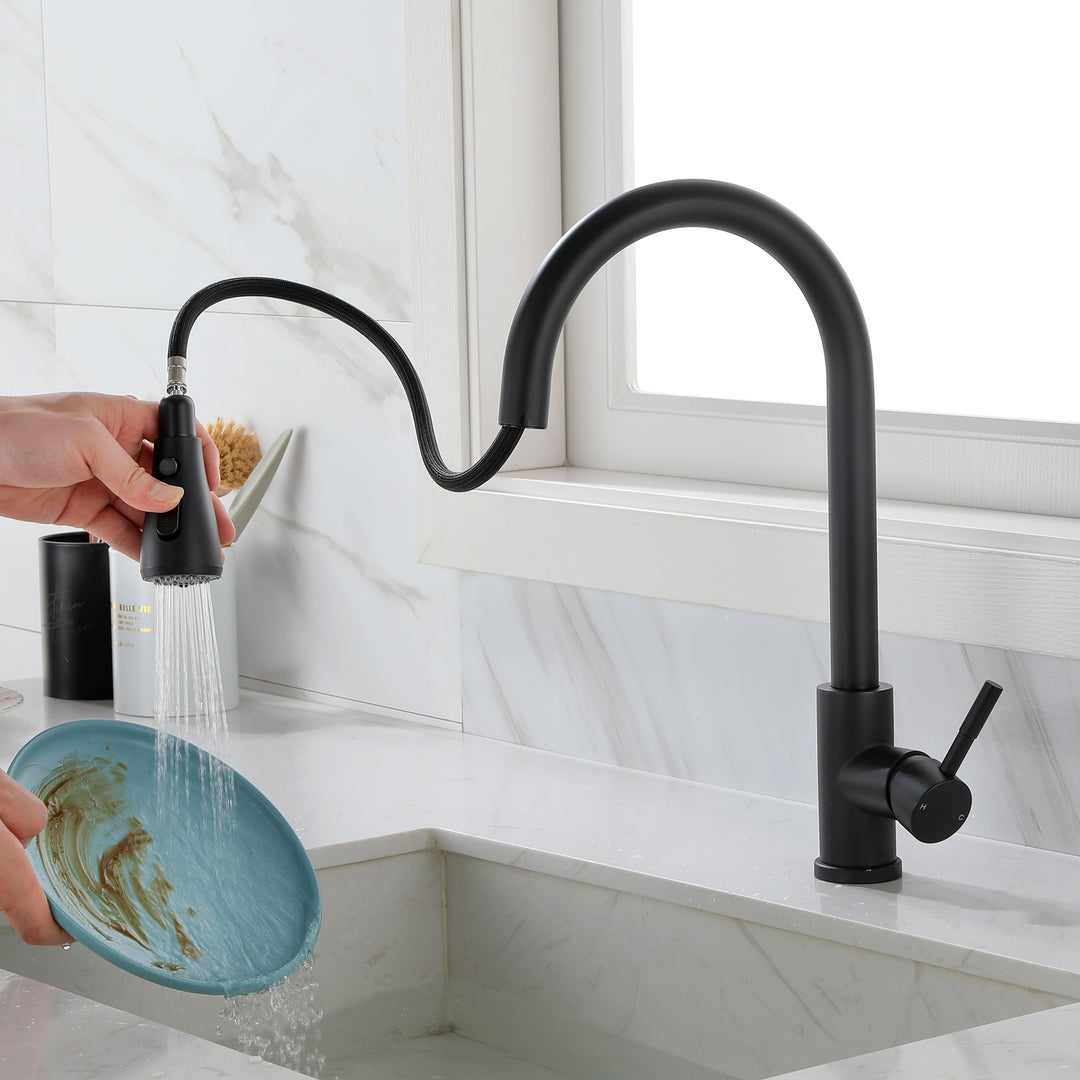 Kitchen Faucet with Pull Out Spraye