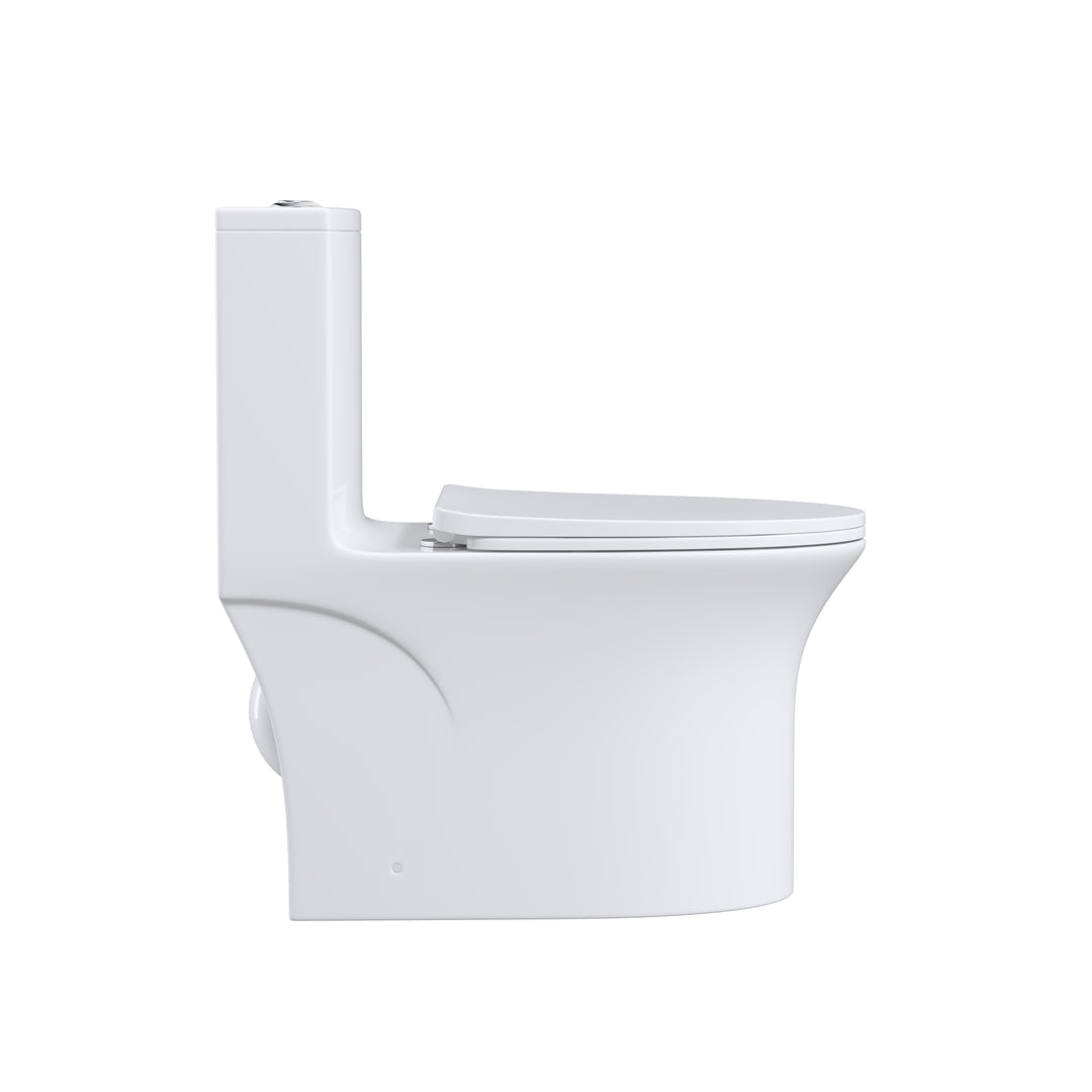 One Piece  Dual Flush Elongated Toilet