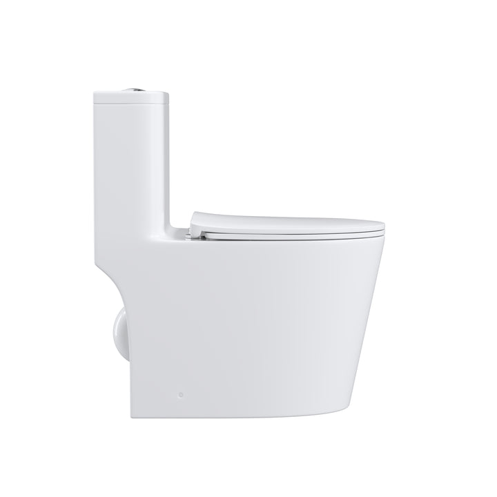 One Piece  Dual Flush Elongated Toilet