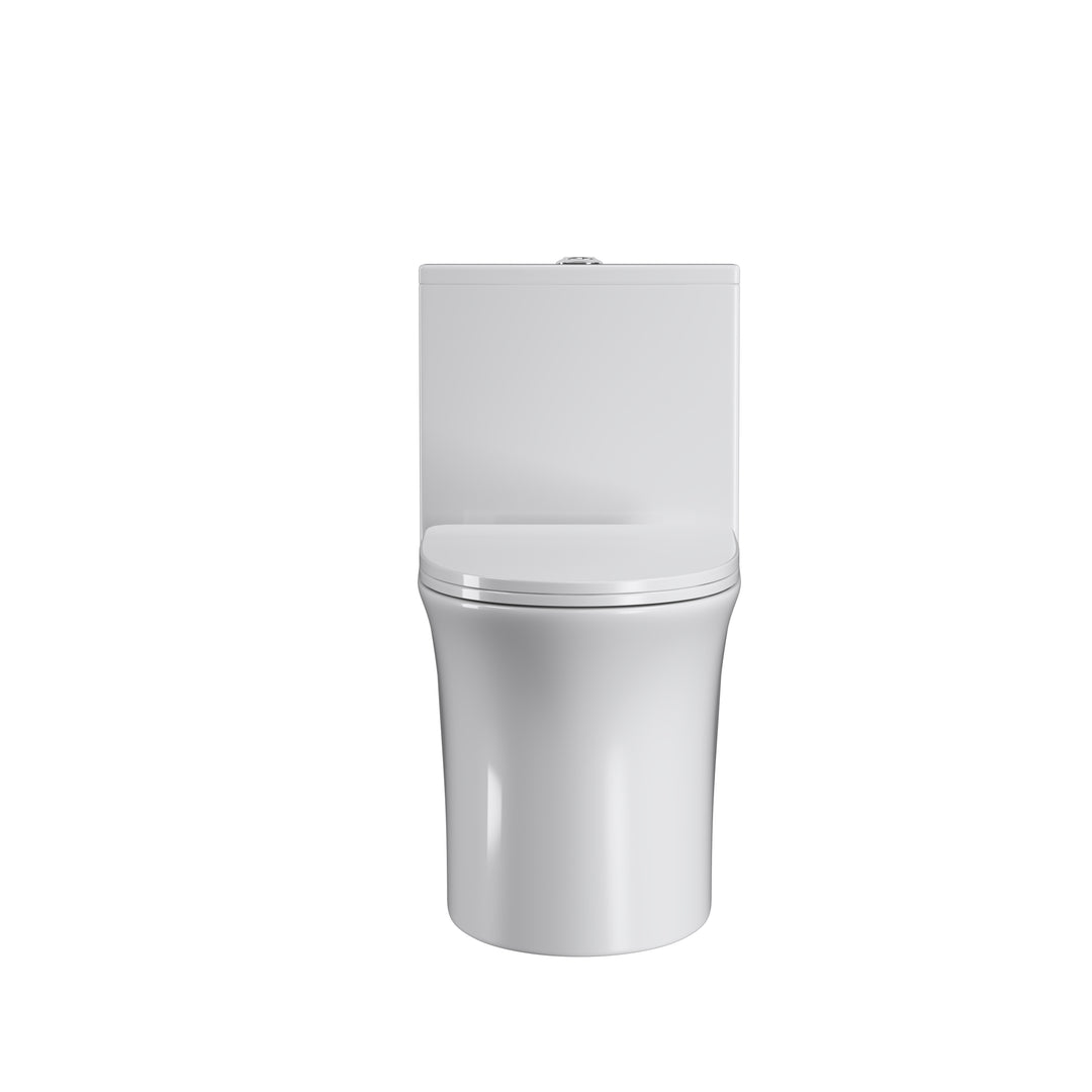 One Piece Dual Flush Elongated Toilet