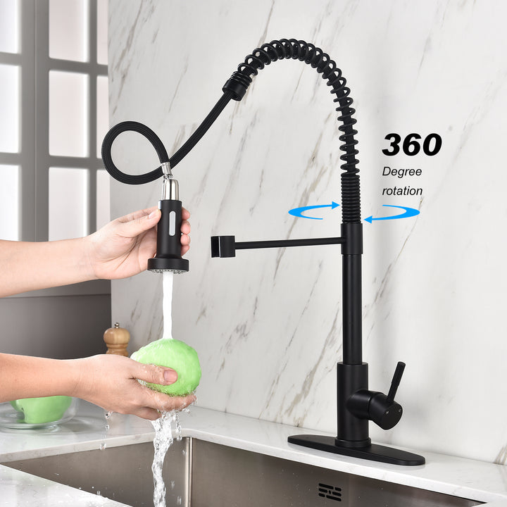 Kitchen Faucet with Pull Out Spraye