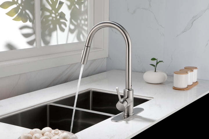 Kitchen Faucet with Pull Down Sprayer