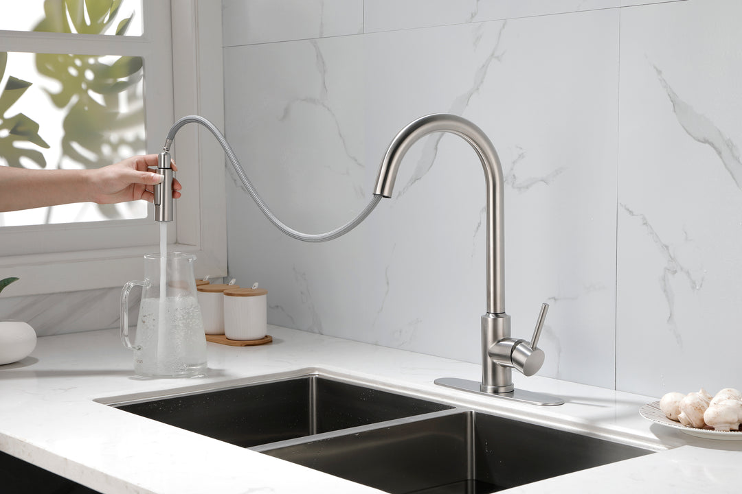 Kitchen Faucet with Pull Down Sprayer