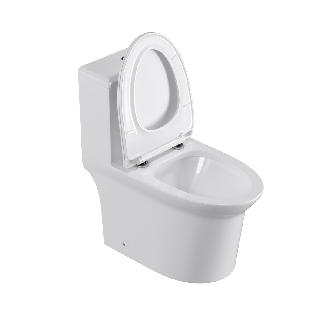 One Piece Dual Flush Elongated Toilet