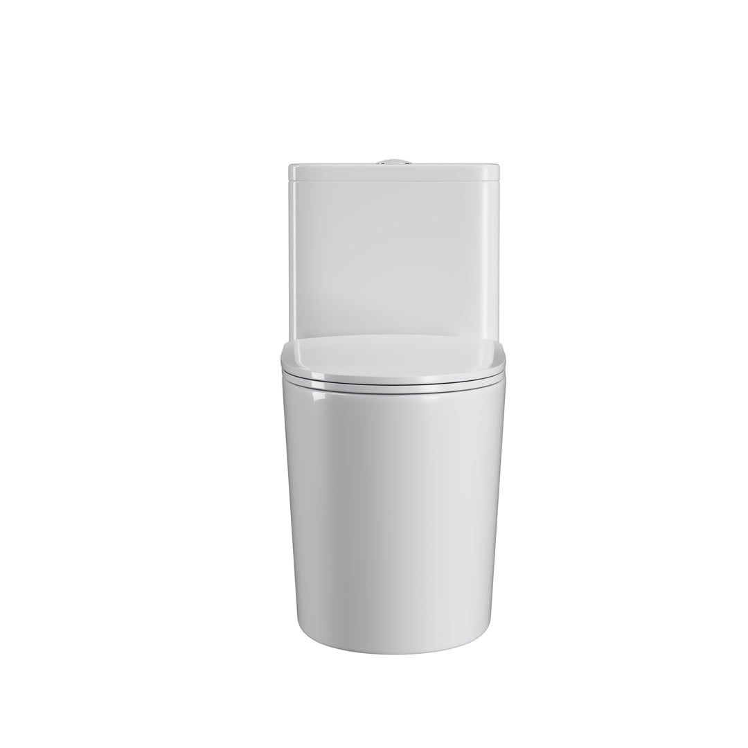 One Piece  Dual Flush Elongated Toilet