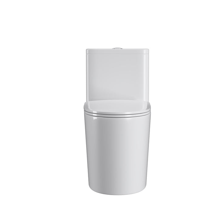 One Piece  Dual Flush Elongated Toilet