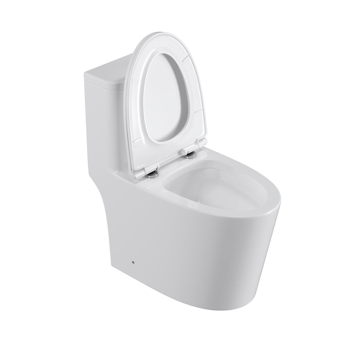 One Piece  Dual Flush Elongated Toilet