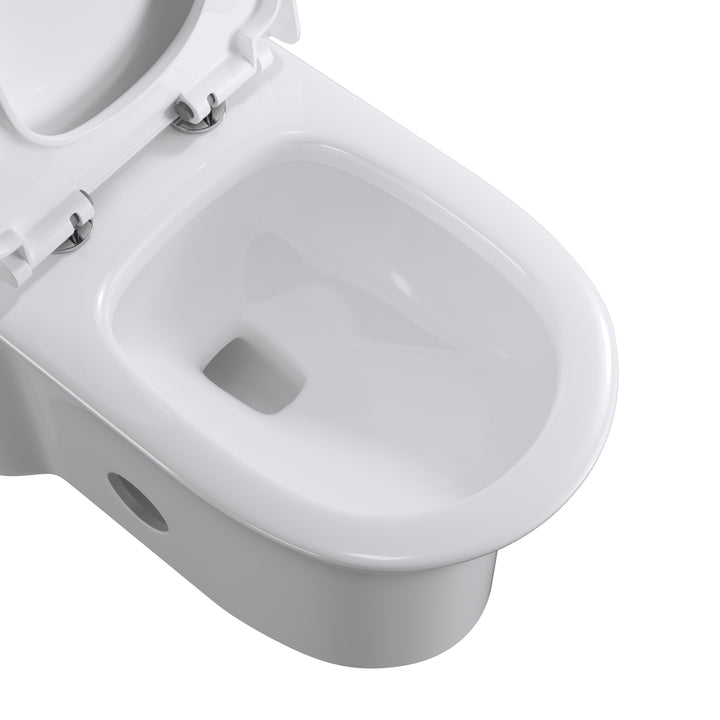 One Piece 1.1GPF/1.6 GPF Dual Flush Elongated Toilet