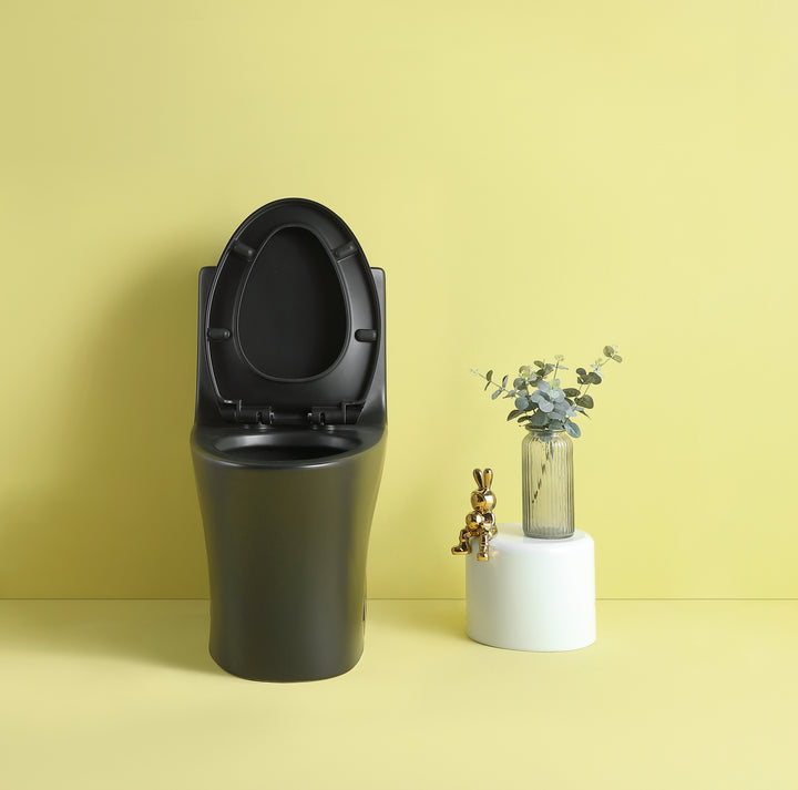 1.1/1.6 GPF Dual Flush 1-Piece Elongated Toilet with Soft-Close Seat - Matt Black 23T02-MB