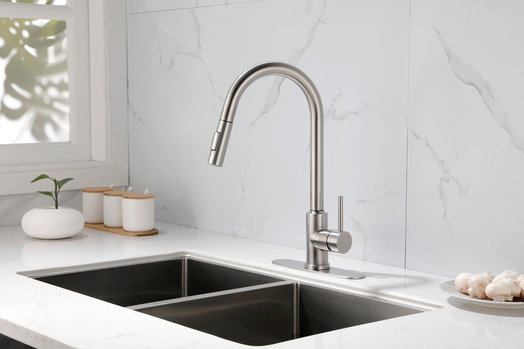 Kitchen Faucet with Pull Down Sprayer