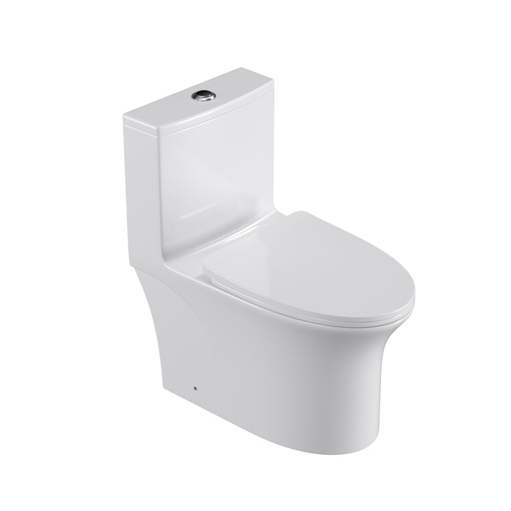 One Piece  Dual Flush Elongated Toilet