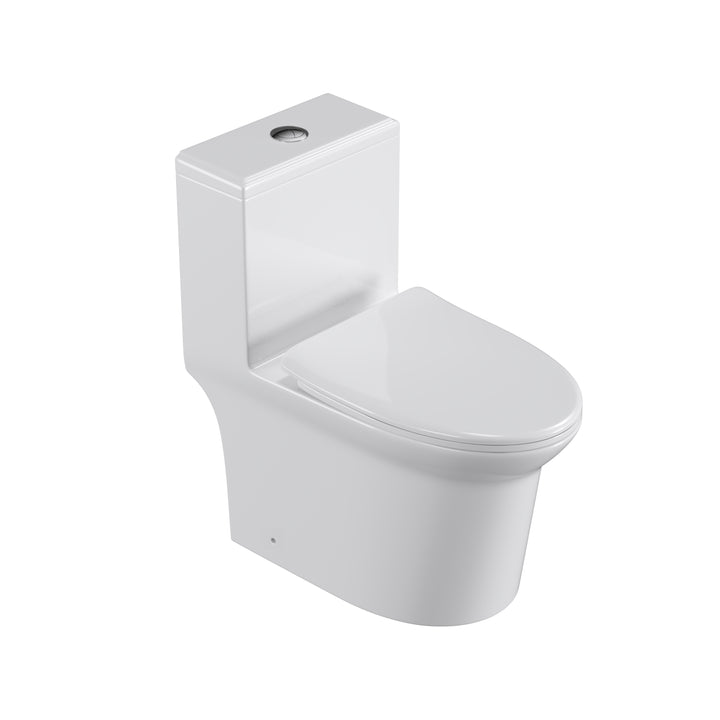 One Piece Dual Flush Elongated Toilet