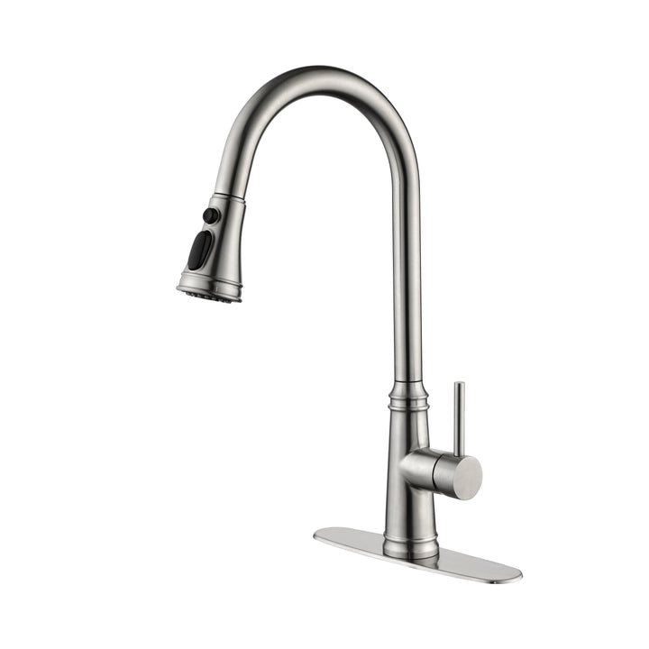 Single Handle High Arc Pull Out Kitchen Faucet,Single Level Stainless Steel Kitchen Sink Faucets with Pull Down Sprayer